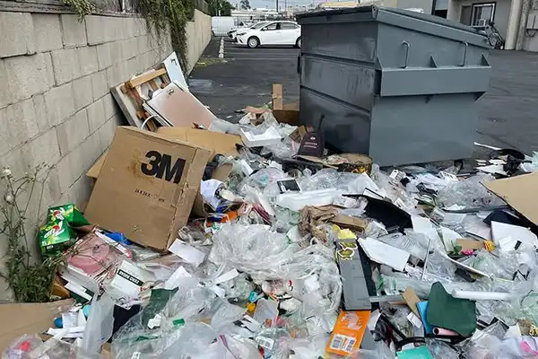 Garbage Removal
