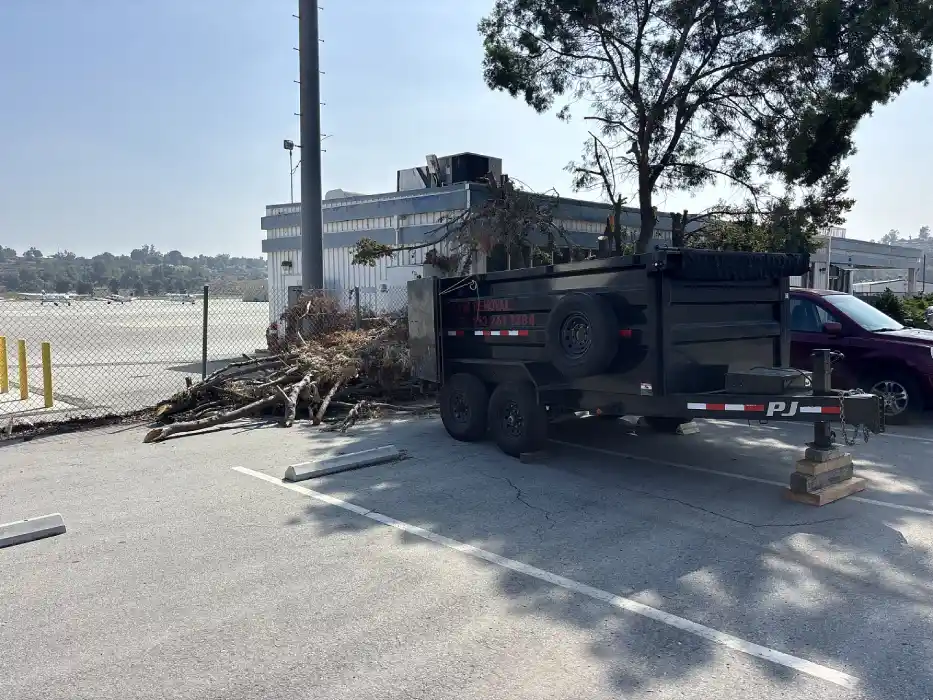 Debris Cleanup Service Debris Cleanup Service